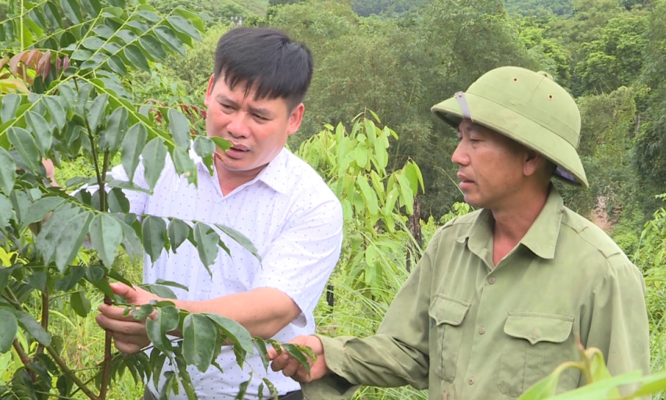 Hiện thực hóa mục tiêu tăng trưởng xanh