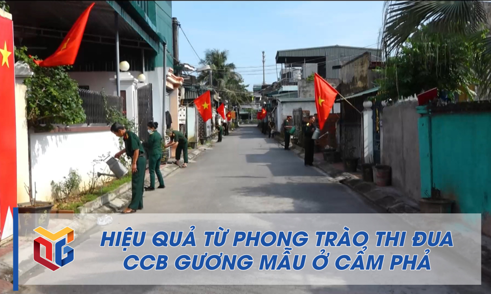 Hiệu quả từ phong trào thi đua CCB gương mẫu ở Cẩm Phả