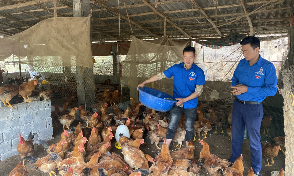 Gương thanh niên lập thân, lập nghiệp