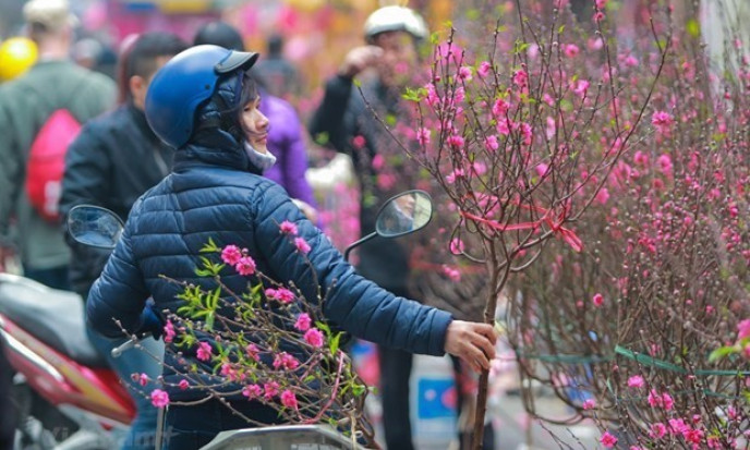 Strong cold spell hit northern region