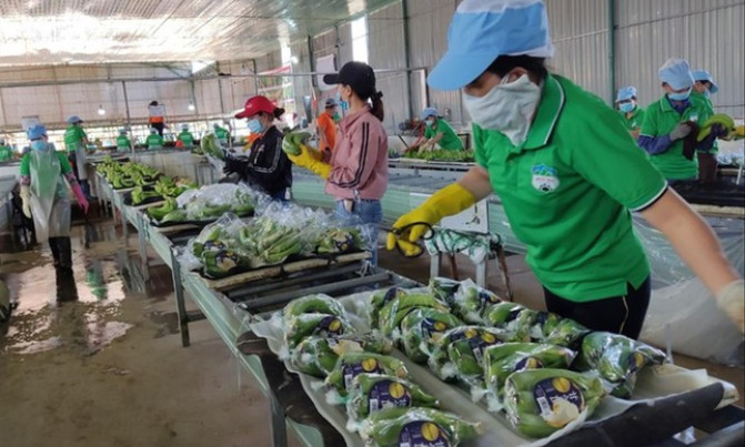 Xuất khẩu nông sản 2023: Kỳ vọng những mặt hàng chủ lực