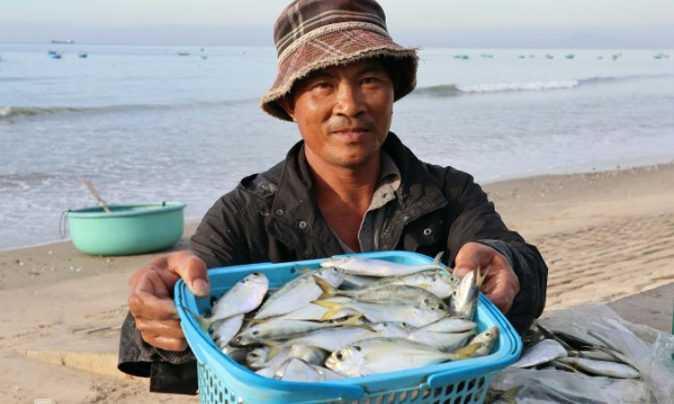 Bình Thuận: Đánh cá gần bờ ngày giáp Tết 