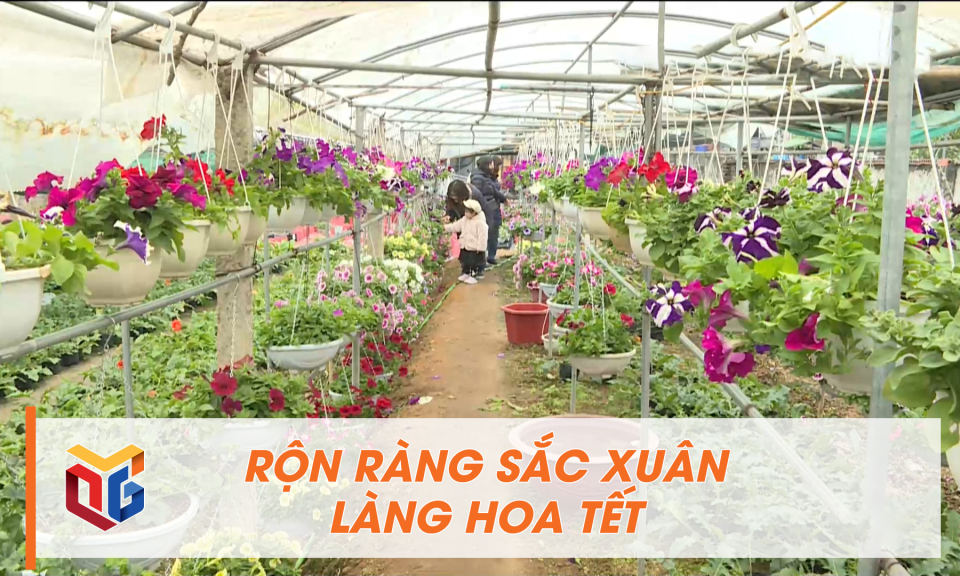 Rộn ràng sắc xuân làng hoa Tết