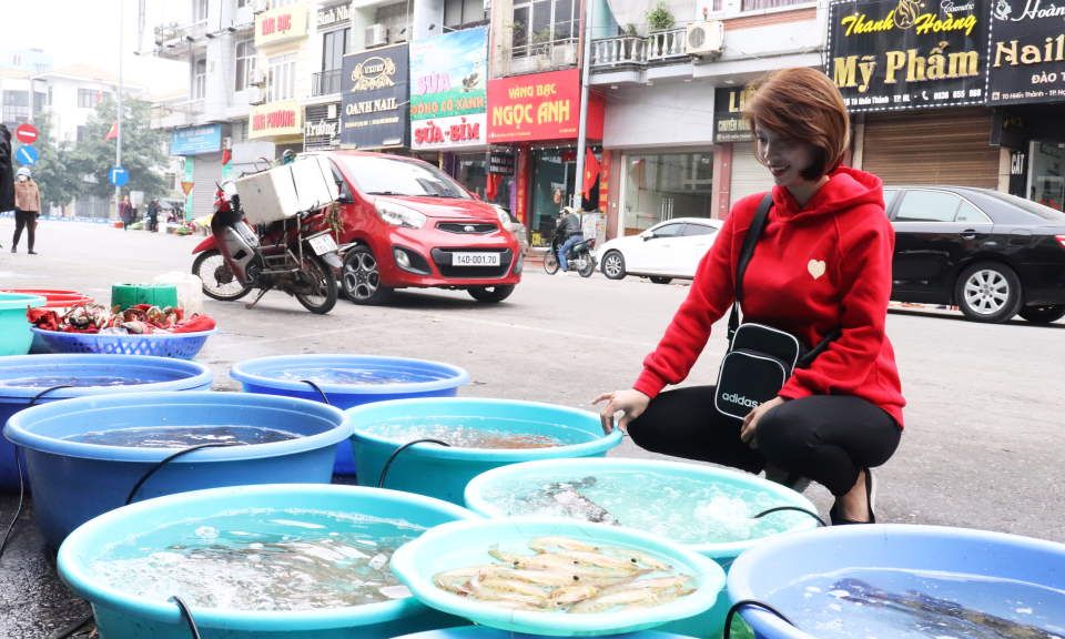 Thị trường đầu năm ổn định, một số mặt hàng tăng nhẹ