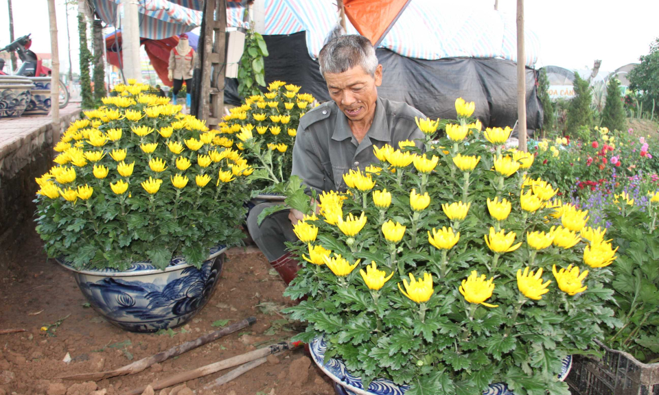 Khí thế mới cho năm mới bội thu