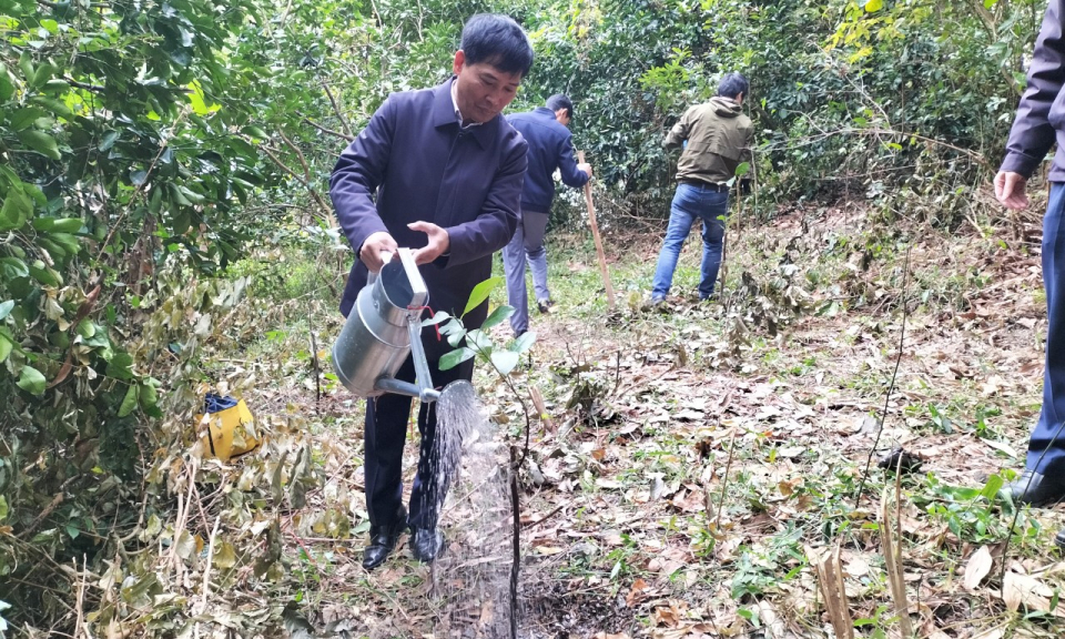 Ban Quản lý Vịnh Hạ Long phát động Tết trồng cây Xuân Quý Mão