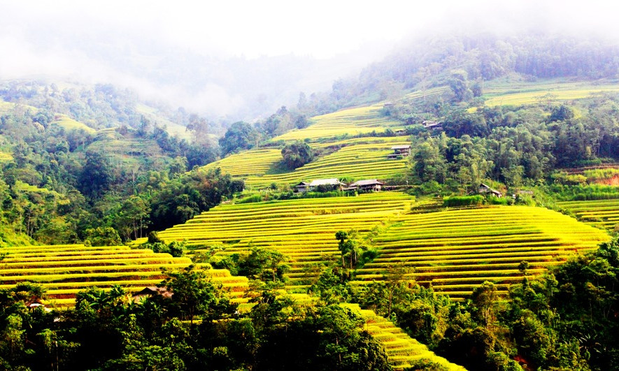 Kỳ vĩ ruộng bậc thang Hoàng Su Phì