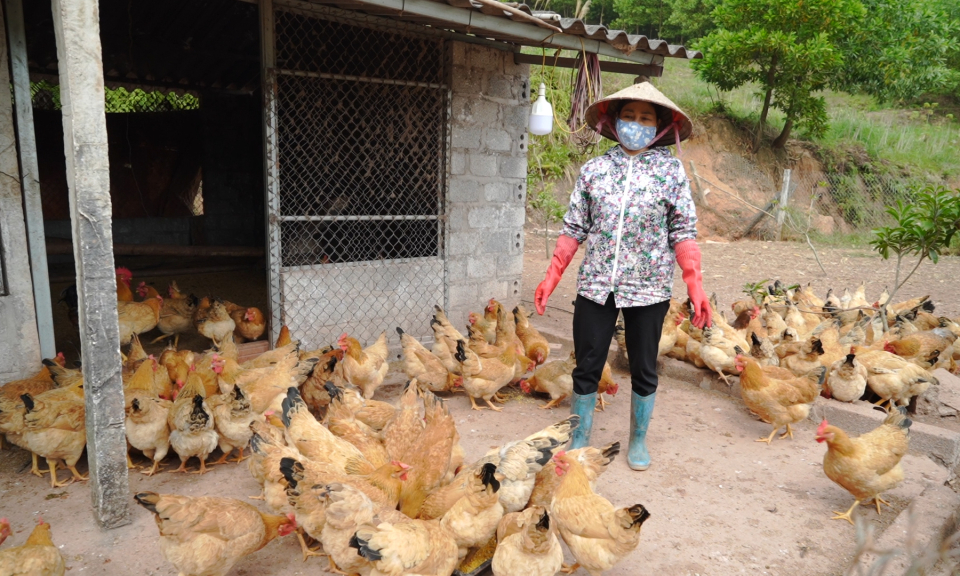Sớm hoàn thành mục tiêu giảm nghèo đa chiều