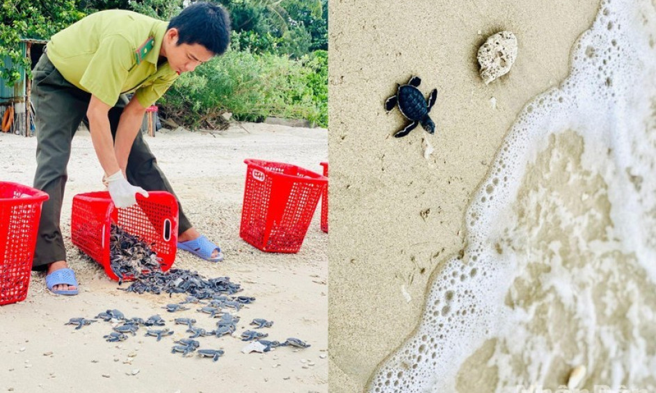 Solution to stop biodiversity loss
