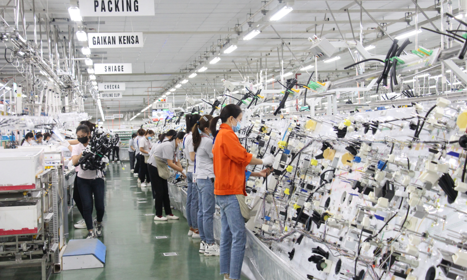 TX Quảng Yên sôi nổi khí thế sản xuất đầu năm