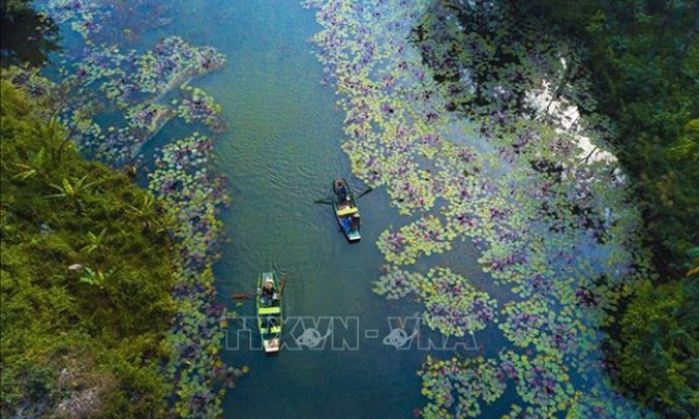 World Wetlands Day 2023 to be observed in Vietnam with various activities
