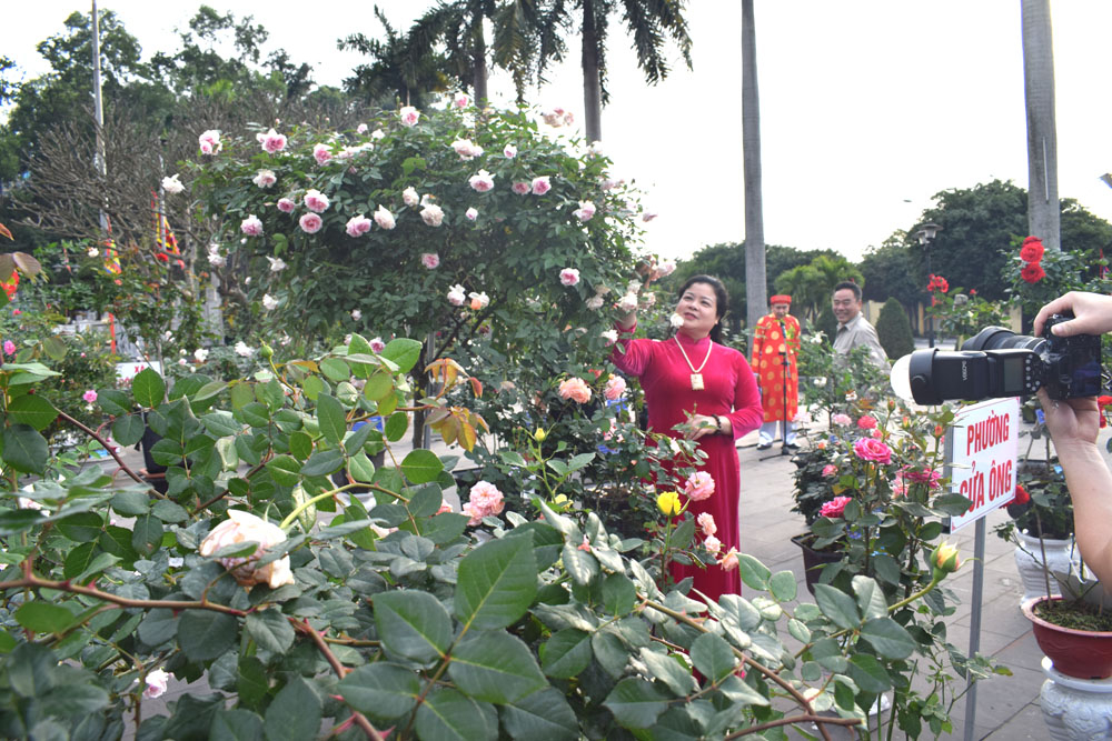 Làm dáng bên hoa hồng