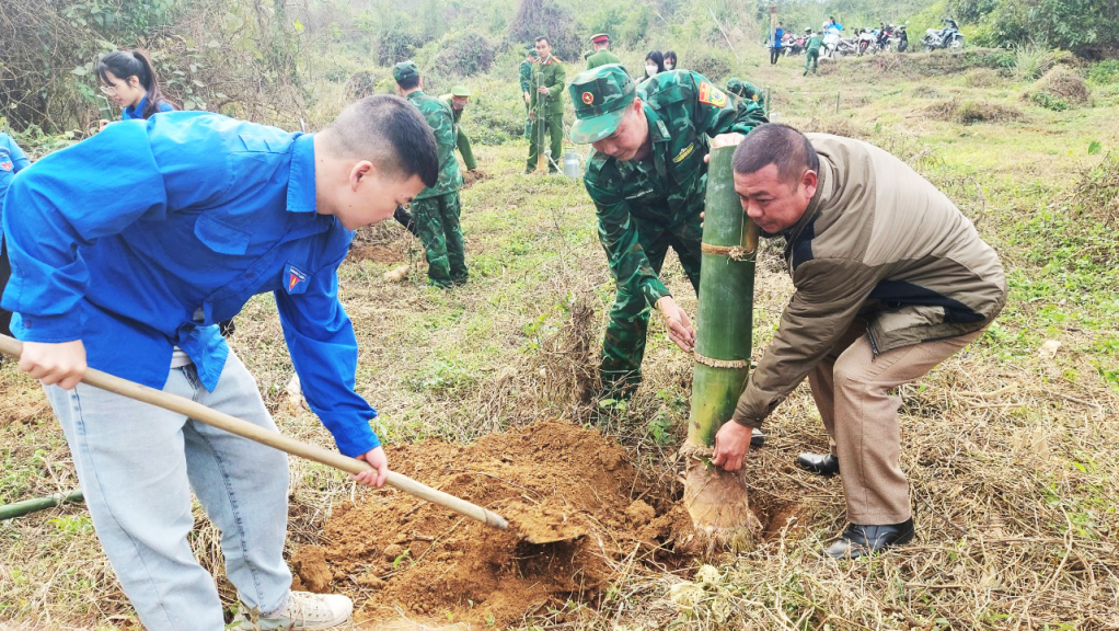 Cán bộ, đoàn viên, thanh niên các đơn vị tình nguyện tham gia trồng tre trên biên giới.