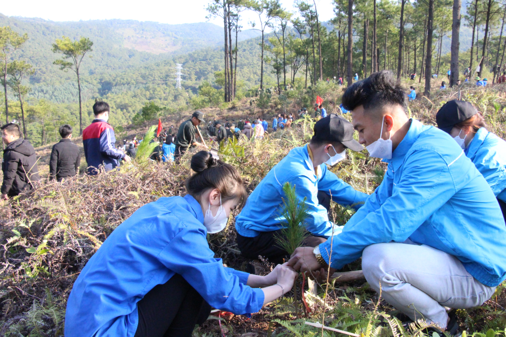  ĐVTN thị xã tham gia trồng cây tại điểm di tích đồi thông nơi Bác Hồ dừng chân.