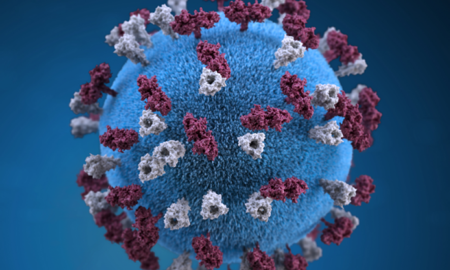 Virus sởi đột biến có thể gây bệnh viêm não