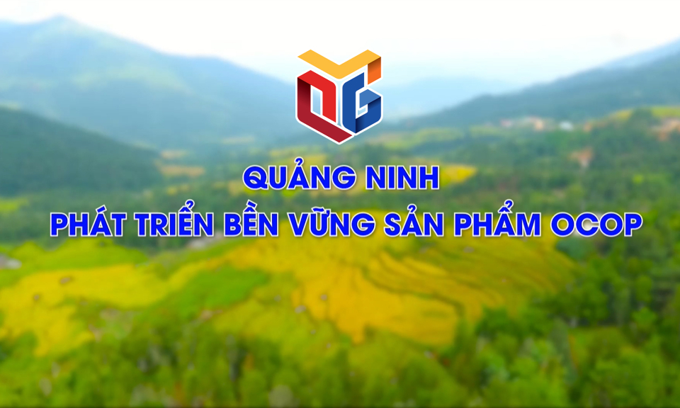 Quảng Ninh phát triển bền vững sản phẩm OCOP