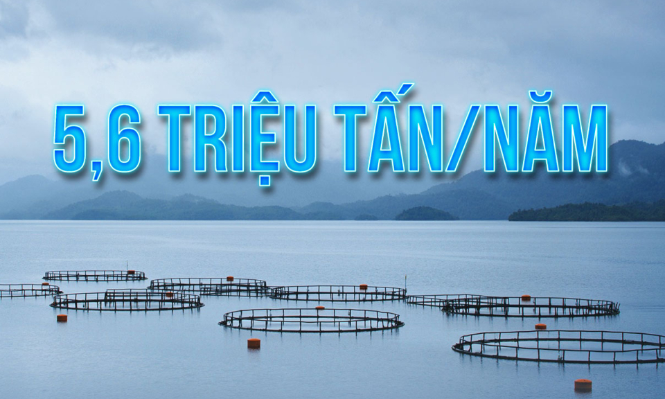 5,6 triệu tấn/năm - là tổng sản lượng nuôi trồng thuỷ sản cả nước vào năm 2025