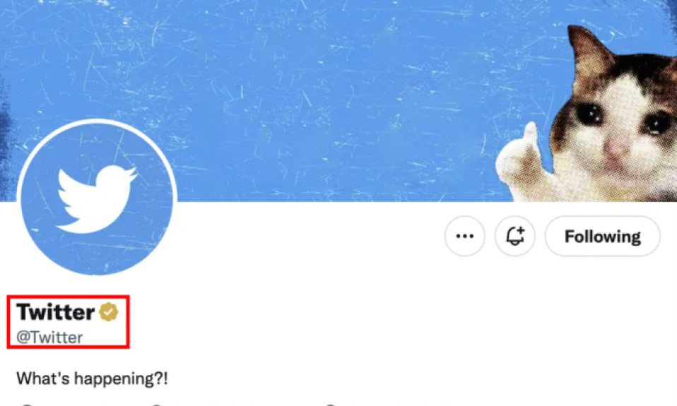 'Tích vàng' trên Twitter có thể giá nghìn USD