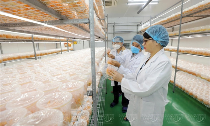 Việt Nam aims to be top ten regional biotechnology manufacturing hub