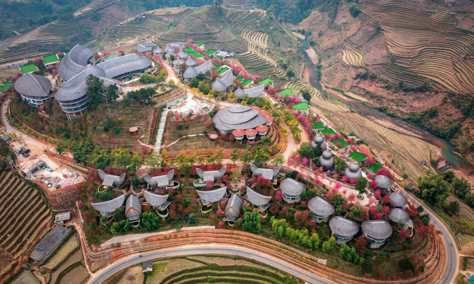Forest peach blossoms bloom all over Mu Cang Chai