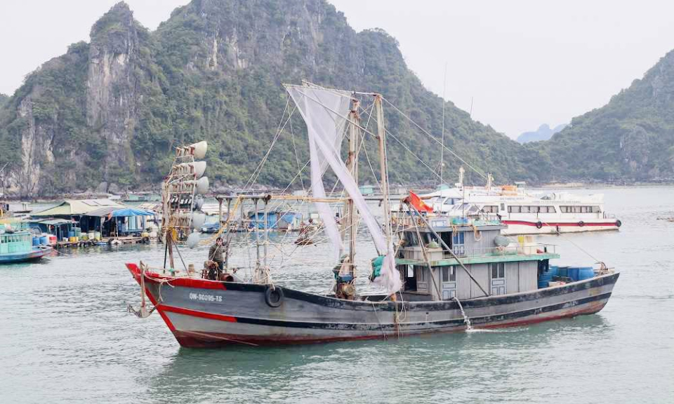 Số hóa trong quản lý tàu cá và khai thác hải sản