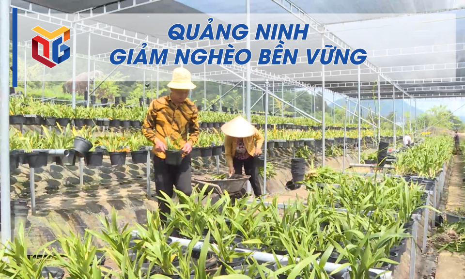 Quảng Ninh giảm nghèo bền vững