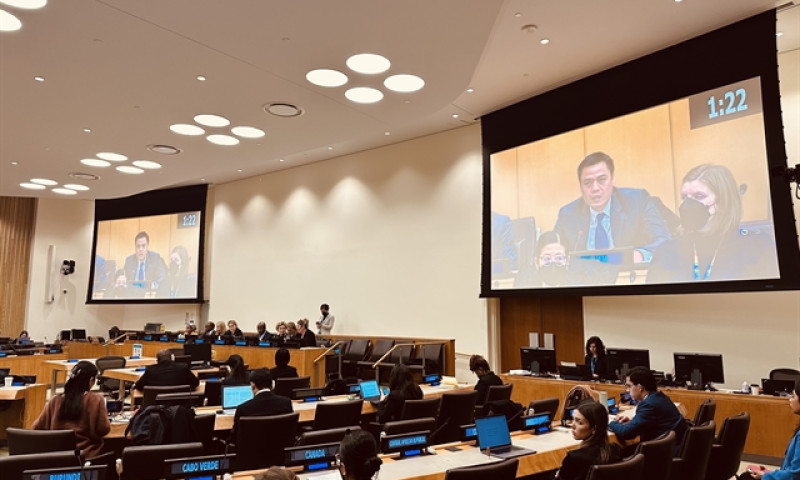 Việt Nam puts children at centre of development policies, strategies: Ambassador