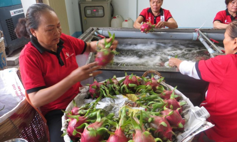 Xuất khẩu nông sản sang Trung Quốc: Chuẩn bị cho 'cuộc chơi' mới