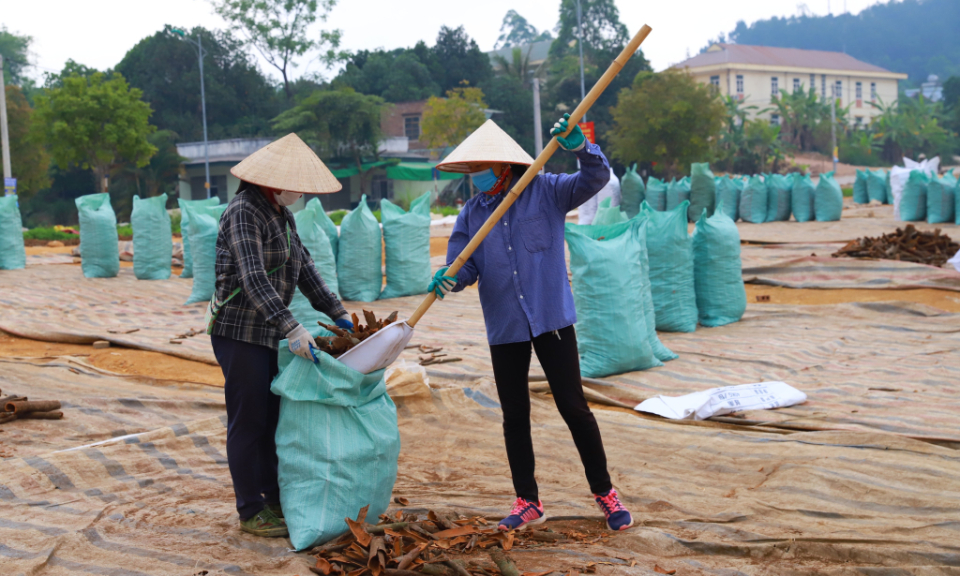 Bình Liêu: Phát triển KT-XH vùng DTTS gắn với xây dựng NTM