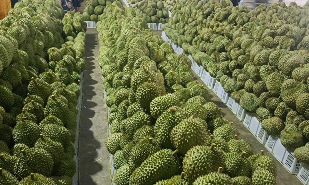 Nông sản Việt sốt giá