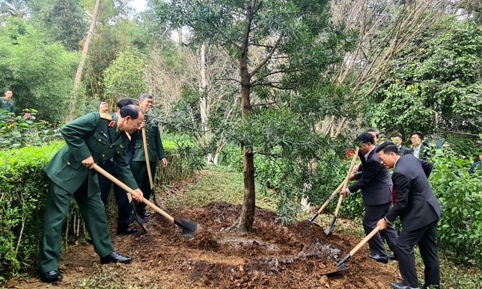 Trồng 102 cây tùng Cô Tô tại Khu di tích K9 