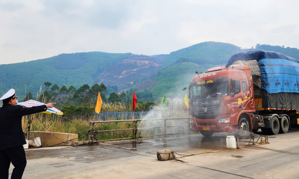 Tăng cường kiểm dịch y tế quốc tế