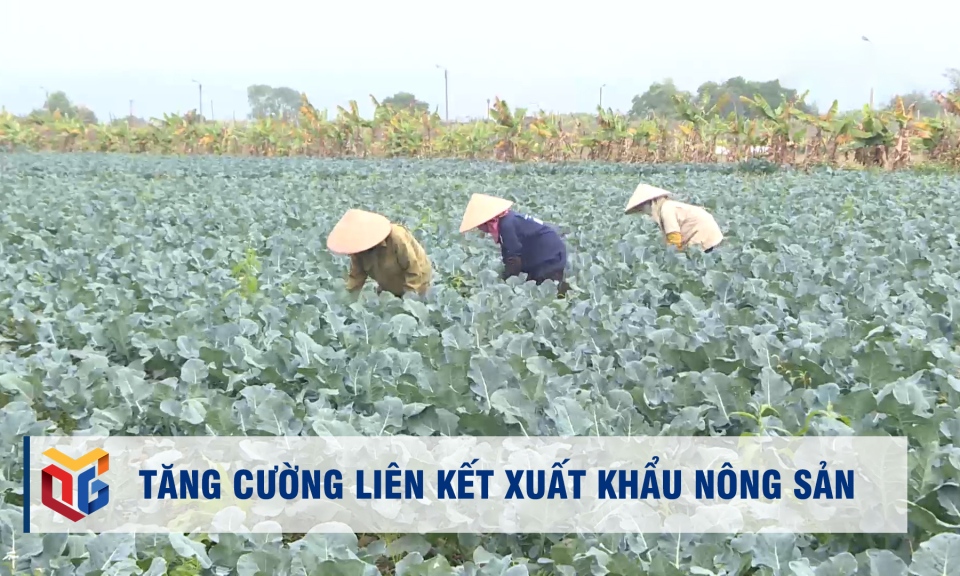 Tăng cường liên kết xuất khẩu nông sản