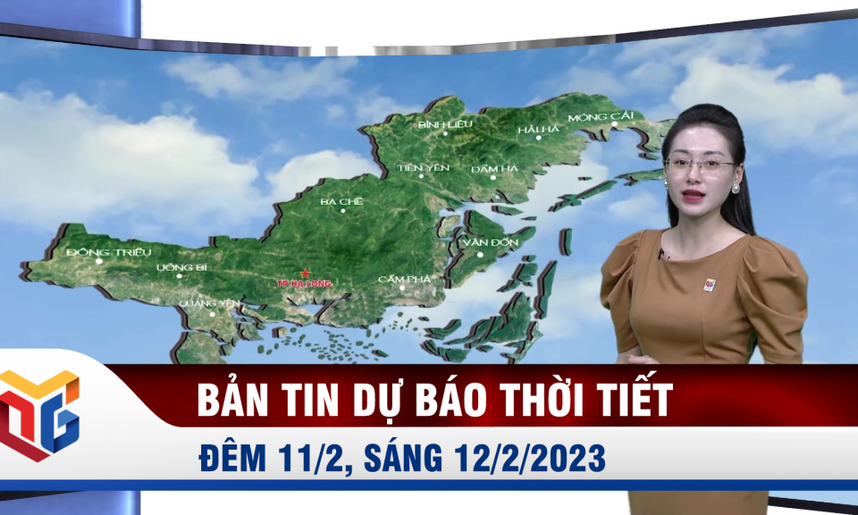 Dự báo thời tiết đêm 11/2, ngày 12/2/2023