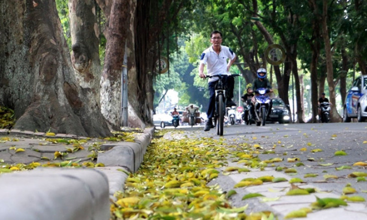 Thời tiết ngày 12/2: Bắc Bộ tăng nhiệt trước khi đón không khí lạnh