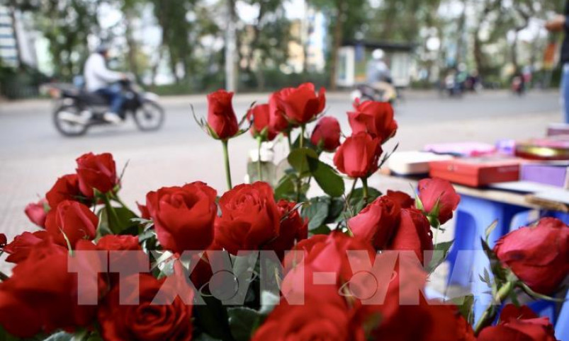 Thị trường Valentine: Hoa tươi tăng giá, quà tặng đa dạng