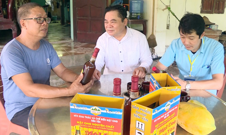 Hội Nông dân huyện Tiên Yên: Đồng hành, tiếp sức cho HTX phát triển
