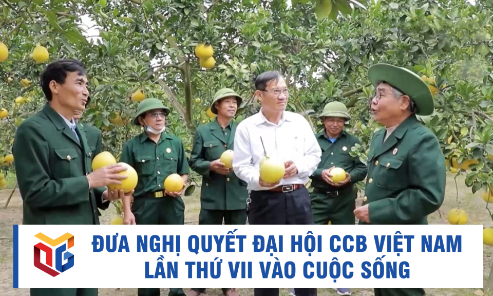 Đưa Nghị quyết Đại hội CCB Việt Nam lần thứ VII vào cuộc sống