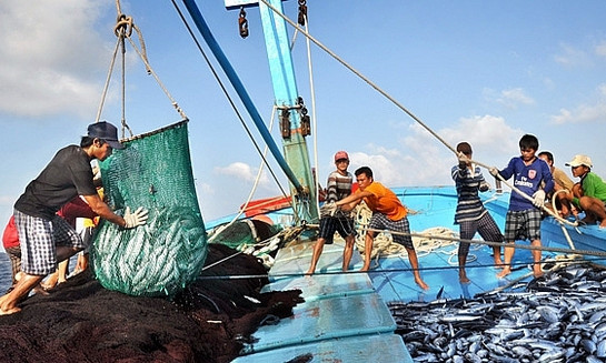 Tập trung nguồn lực chống khai thác hải sản bất hợp pháp, quyết tâm gỡ cảnh báo "Thẻ vàng"