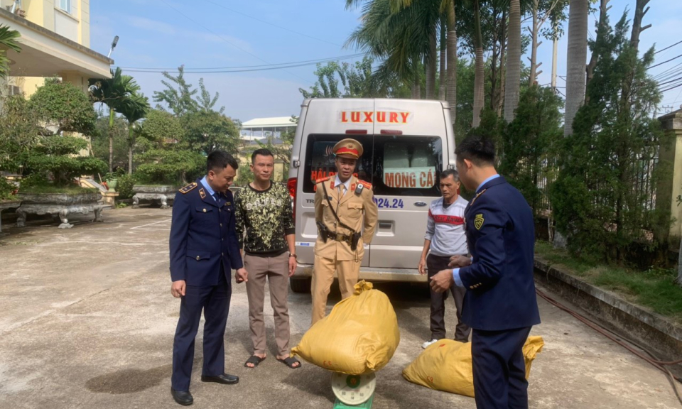 Móng Cái: Tăng cường quản lý, kiểm soát chặt địa bàn