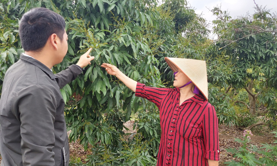 Khởi sắc ở Hồng Thái Đông