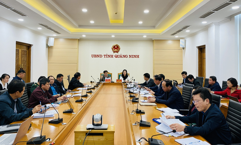Nghiên cứu bổ sung một số điểm tham quan du lịch mới trên Vịnh Bái Tử Long