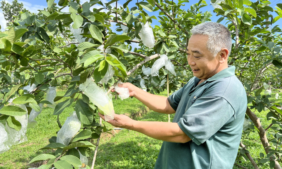 Xây dựng điển hình nông thôn mới kiểu mẫu