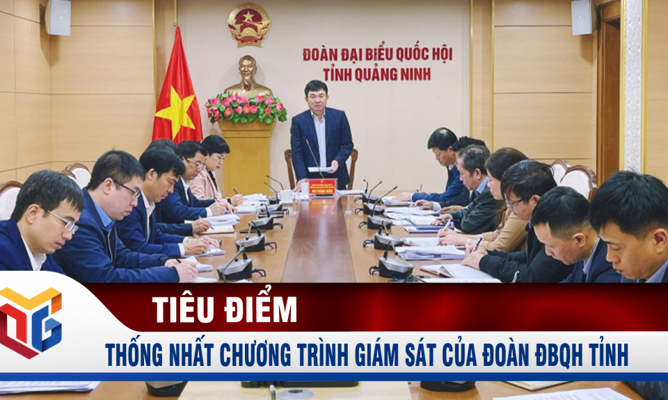 Thống nhất chương trình giám sát của đoàn ĐBQH tỉnh