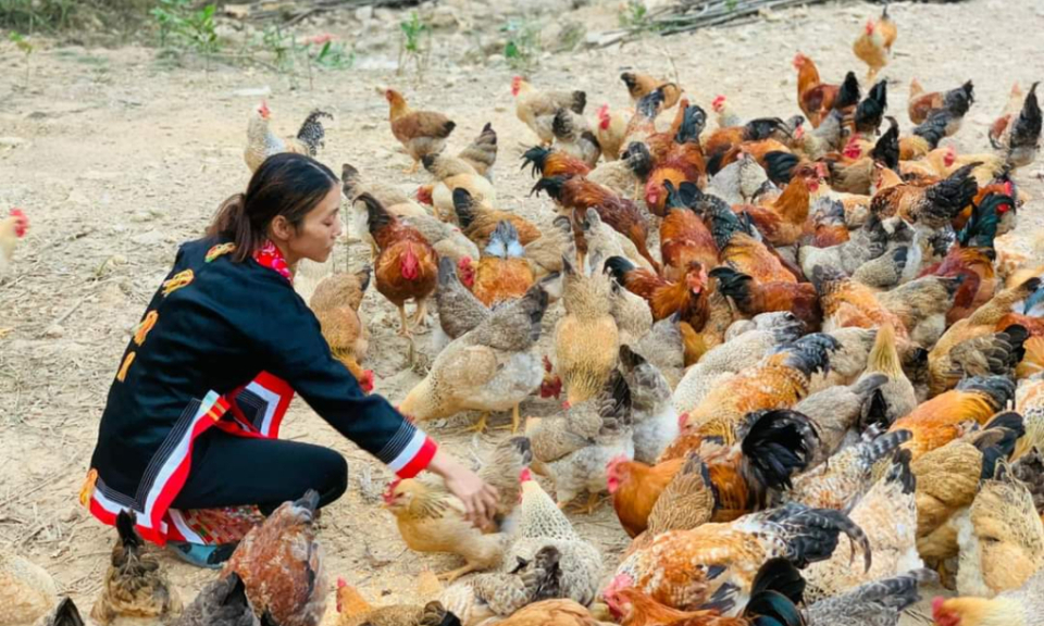 Hội LHPN tỉnh: Giảm nghèo gắn với xây dựng nông thôn mới