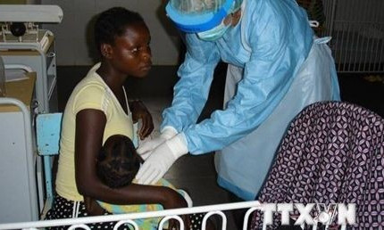 Việt Nam trước nguy cơ xâm nhập của virus Marburg