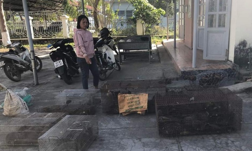 Phát hiện vụ mua bán, tàng trữ trái phép động vật hoang dã quy mô lớn