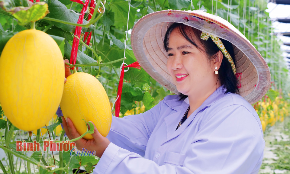 Khát vọng giá trị nông sản Việt