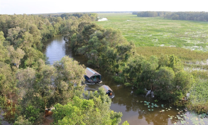 Conservation of wetland habitats contributes to carbon storage