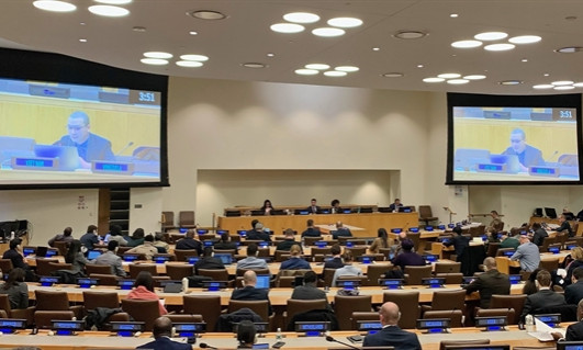 Việt Nam willing to boost personnel deployment to UN peacekeeping operations: diplomat